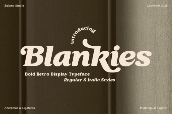 Blankies: A Retro Serif Font for Editorial Impact