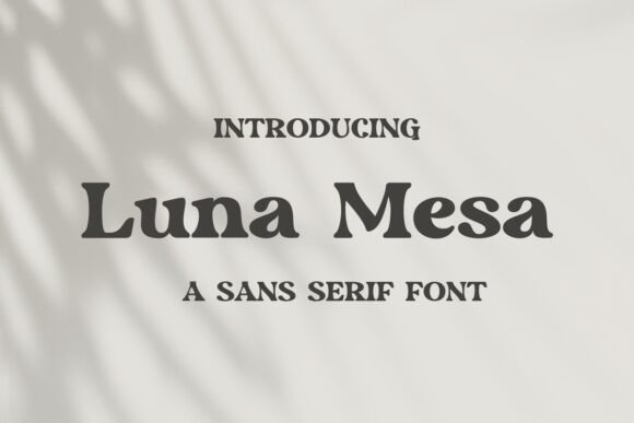 Luna Mesa: A Bold, Boho Sans Serif for Digital Branding