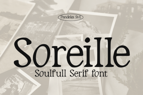 Soreille: A Warm, Timeless Serif Font for Small Business Branding